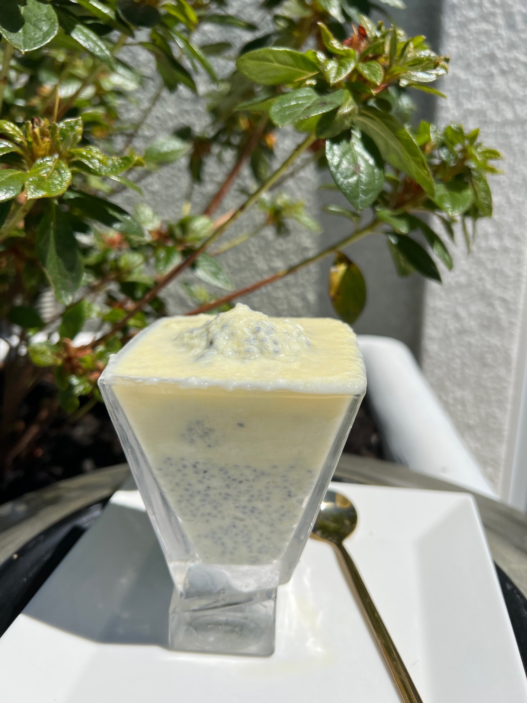 Zen Basil Seeds Pina Colada — Zen Basil | Organic Basil Seeds | High ...