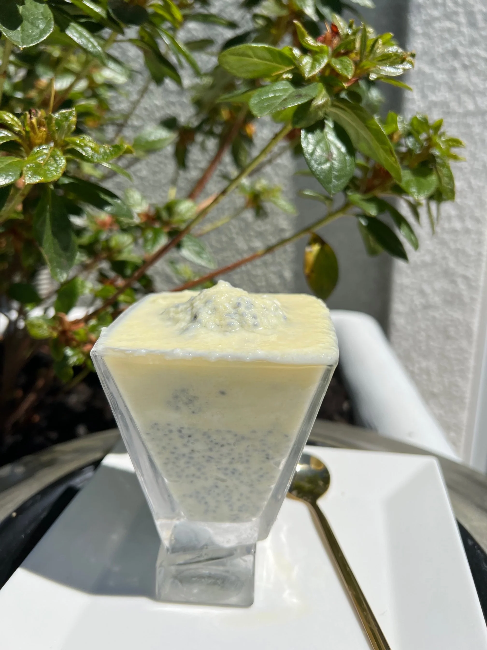 Zen Basil Seeds Pina Colada — Zen Basil Organic Basil Seeds High