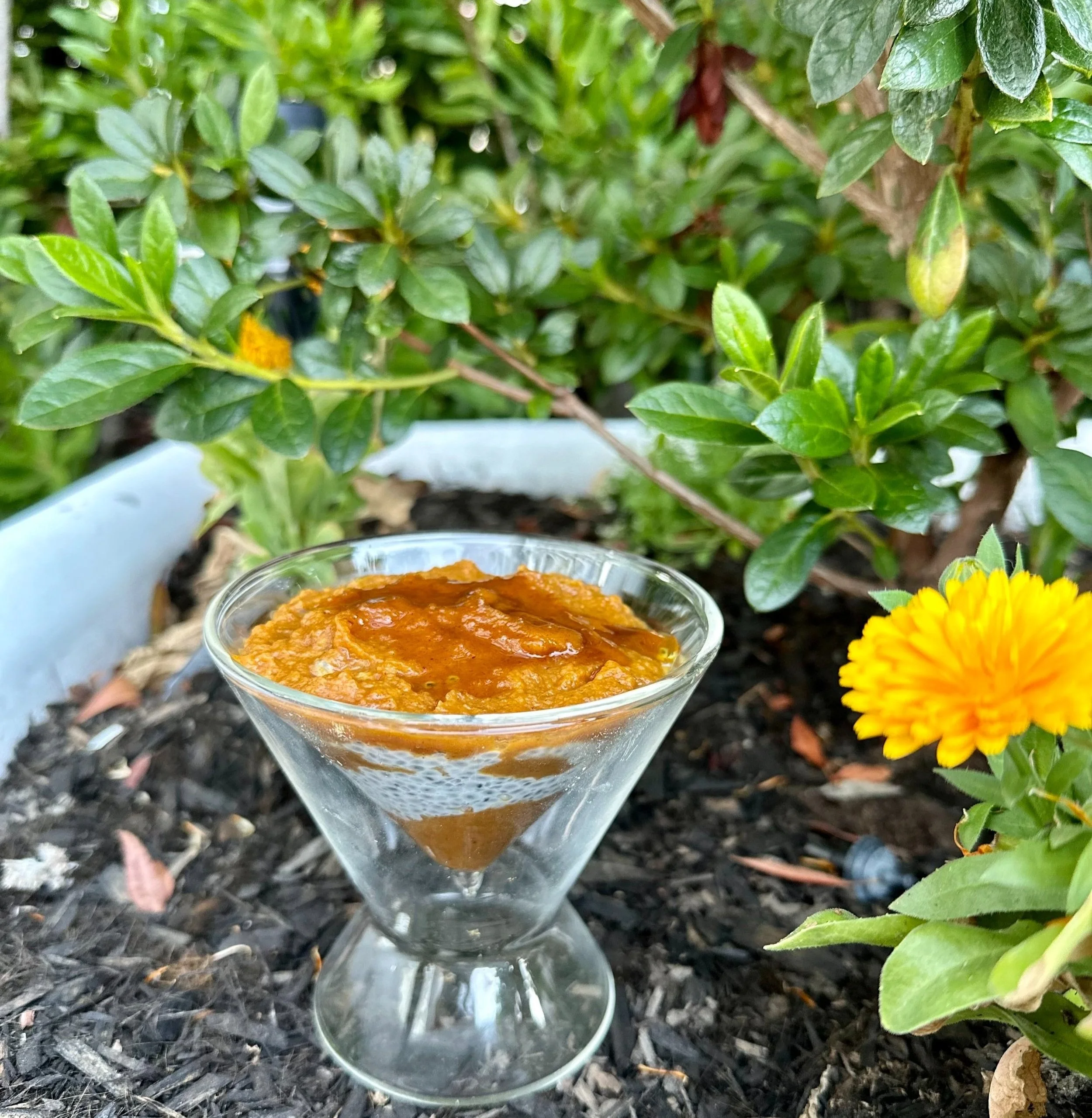 Basil Seed Recipes — Zen Basil Organic Basil Seeds High Fiber