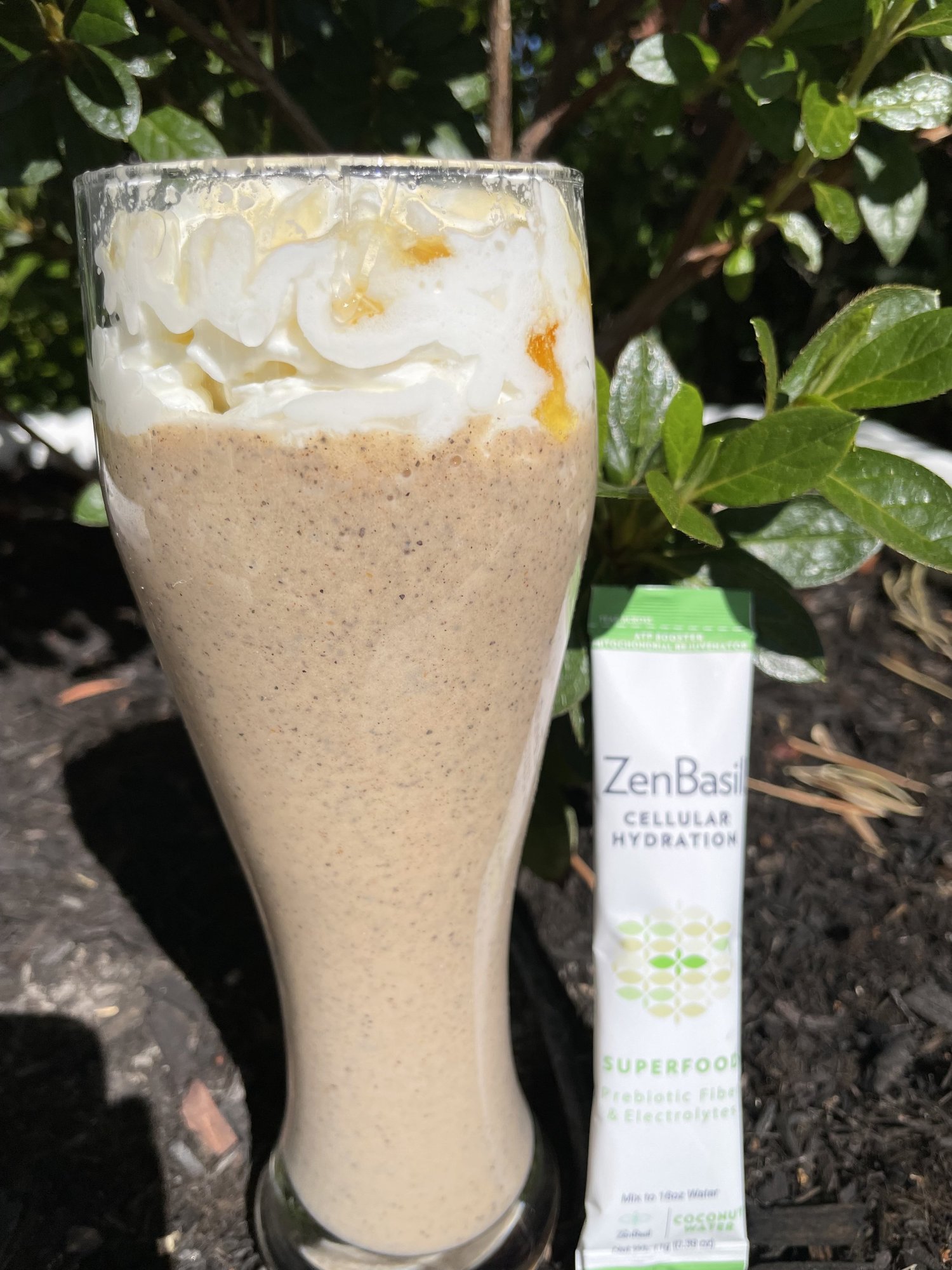 Zen Hydrate Pumpkin Smoothie — Zen Basil Organic Basil Seeds High