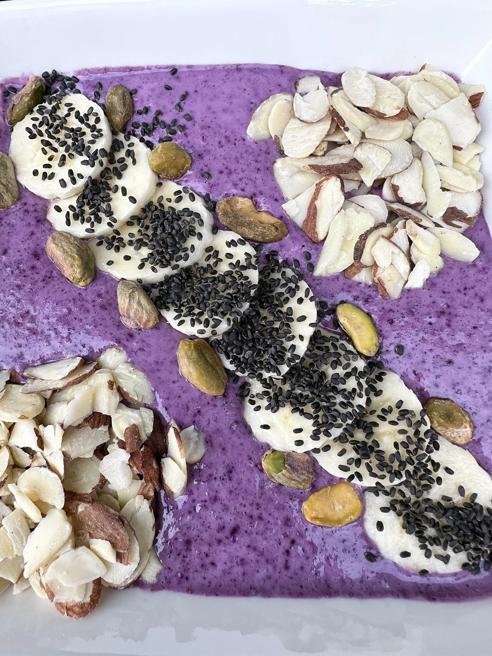 Pudding — Recipes — Zen Basil Organic Basil Seeds High Fiber Superfoods