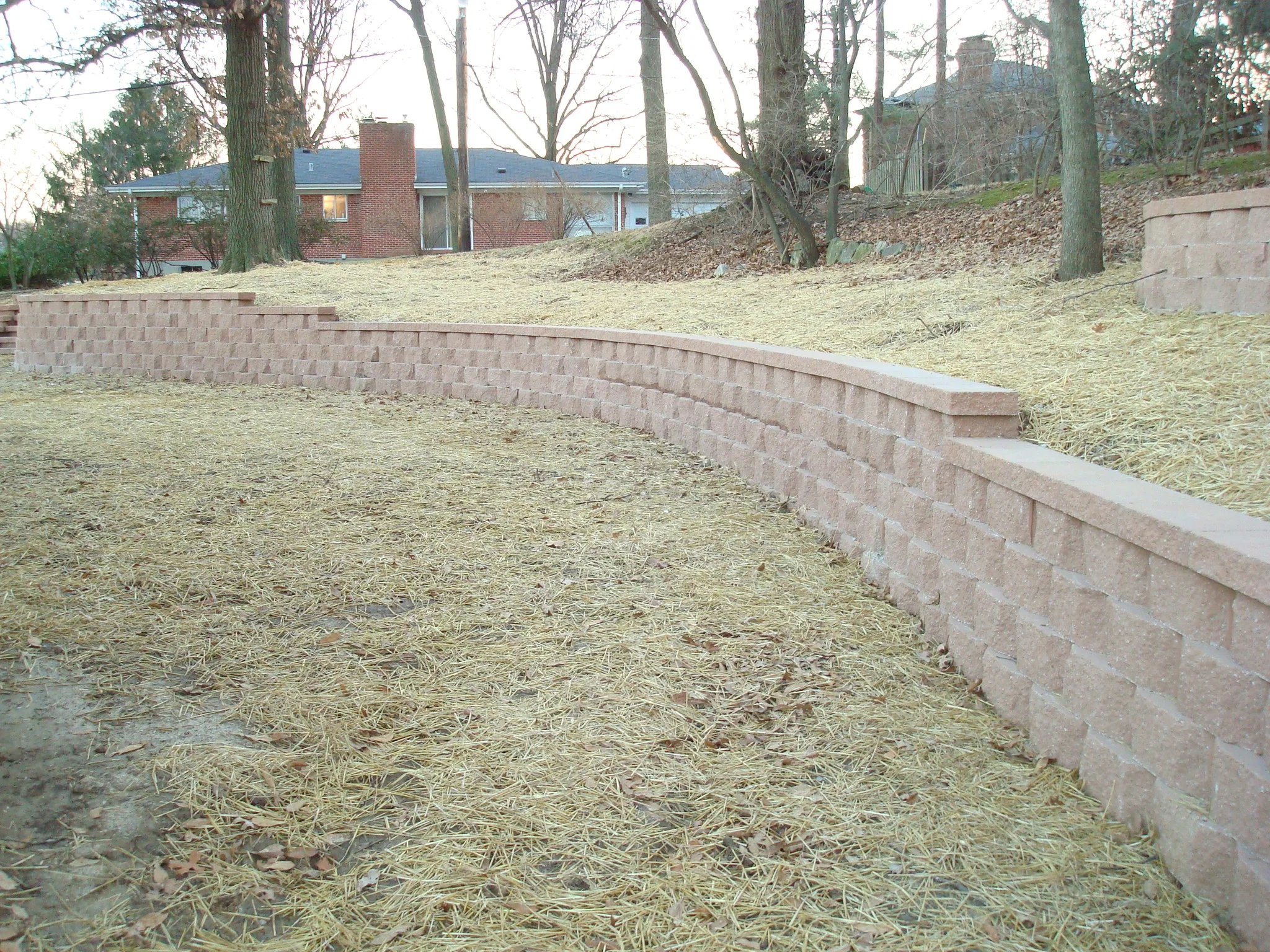 DSC01110.JPG