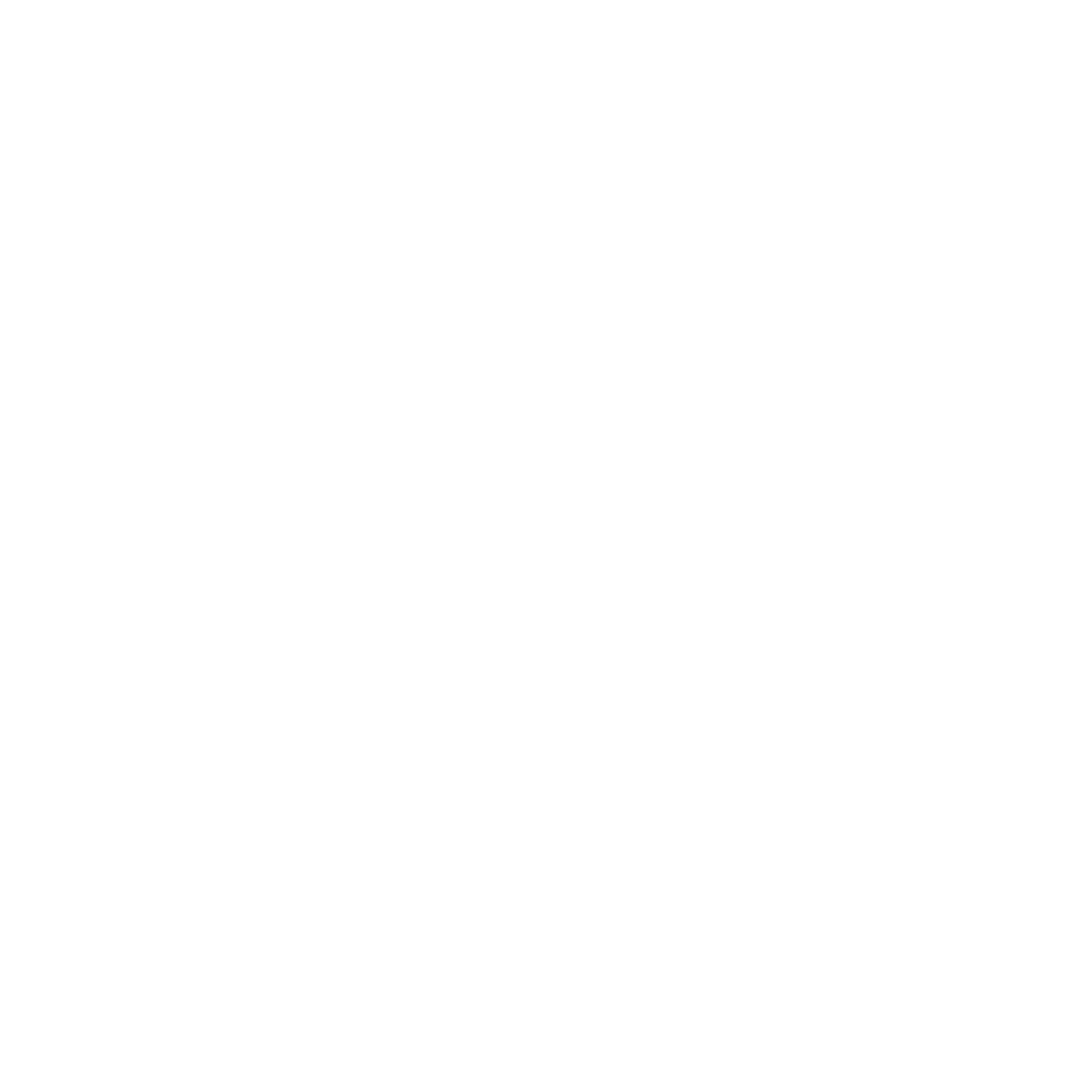 Copy of FIERCE_LOGO_TRANSPARENT BG.png