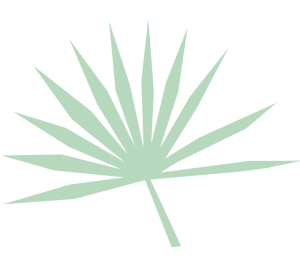 Palm.gif