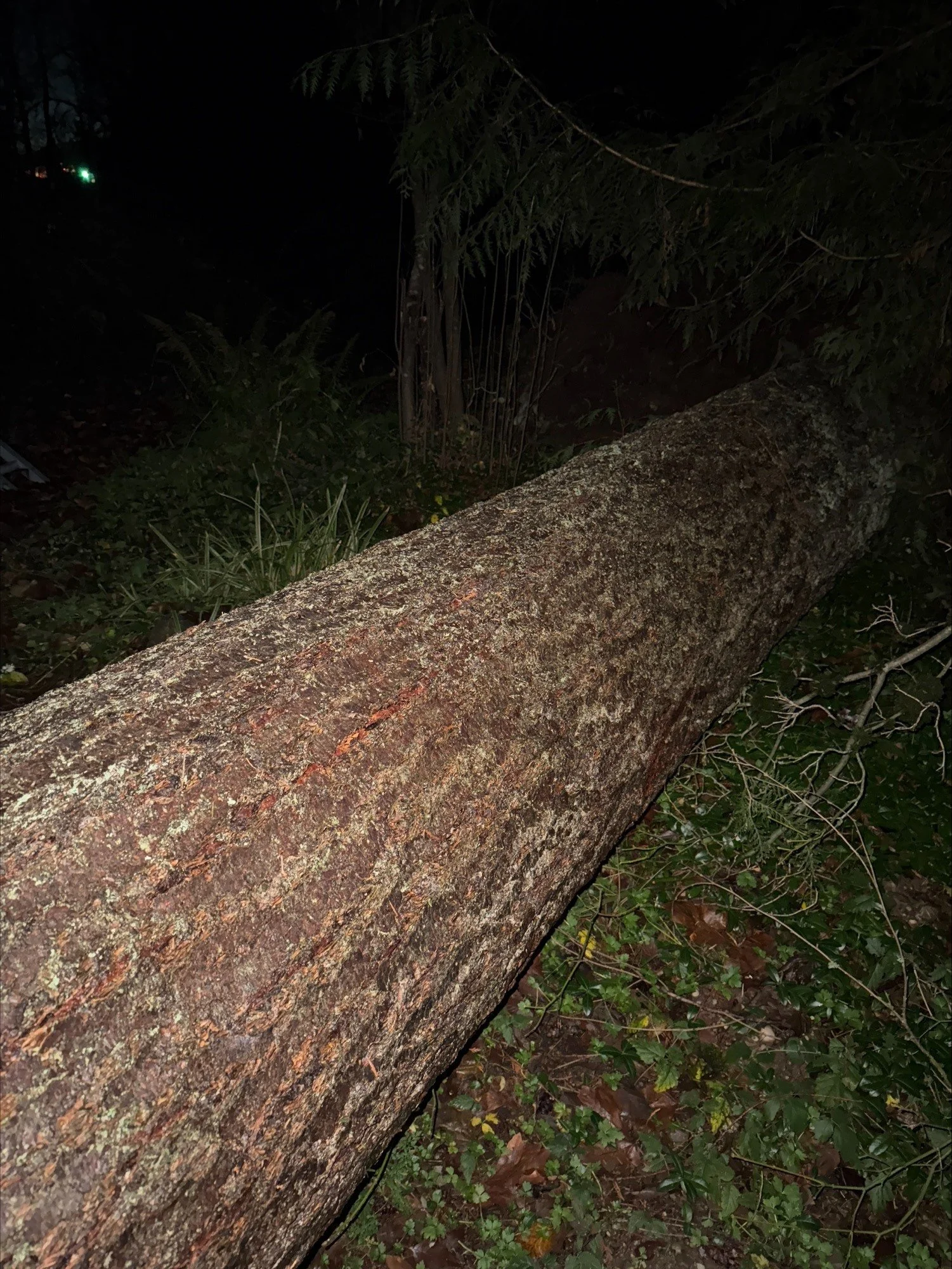 A Teachable Point Of View