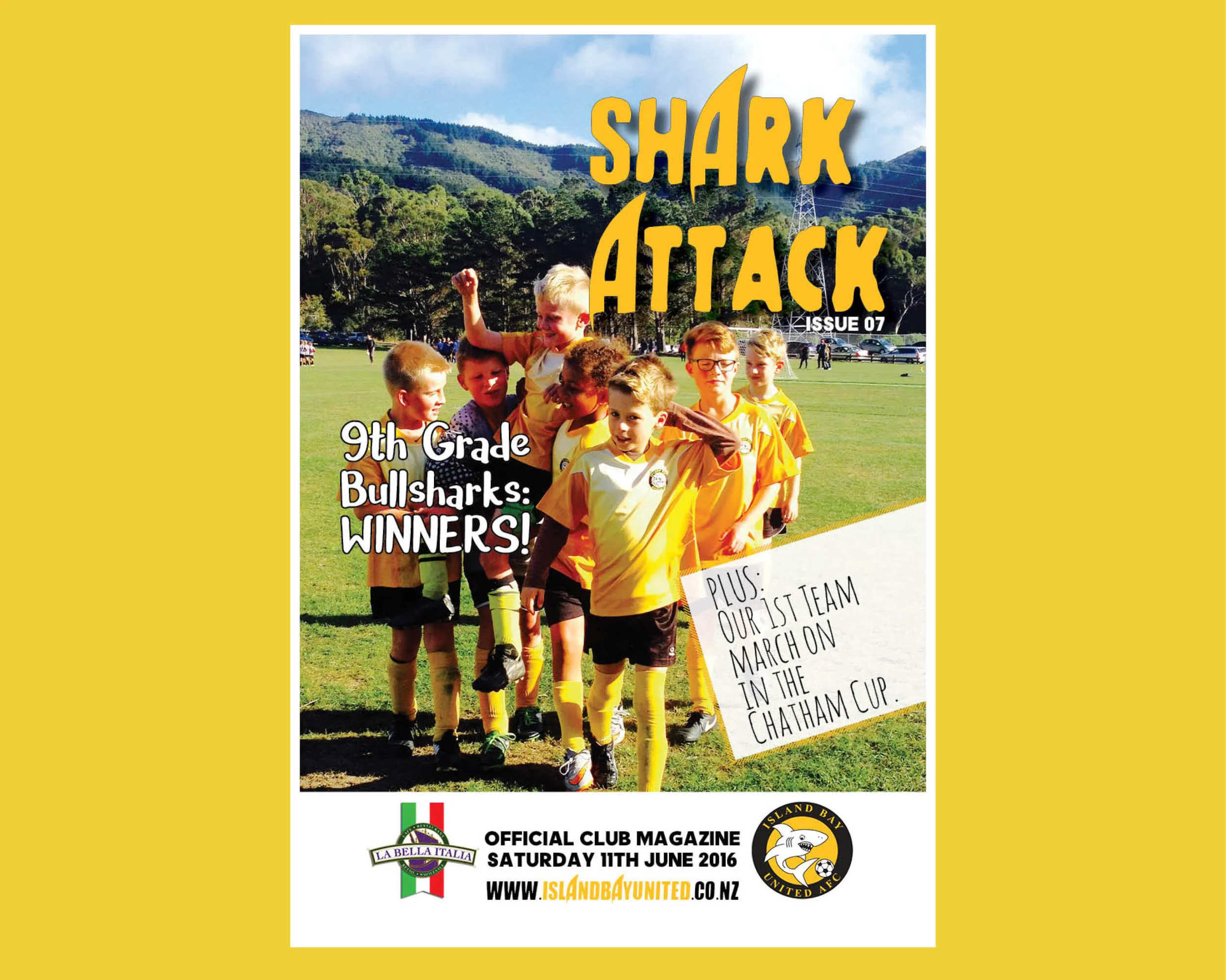 IBU sbmarketing home image.jpg