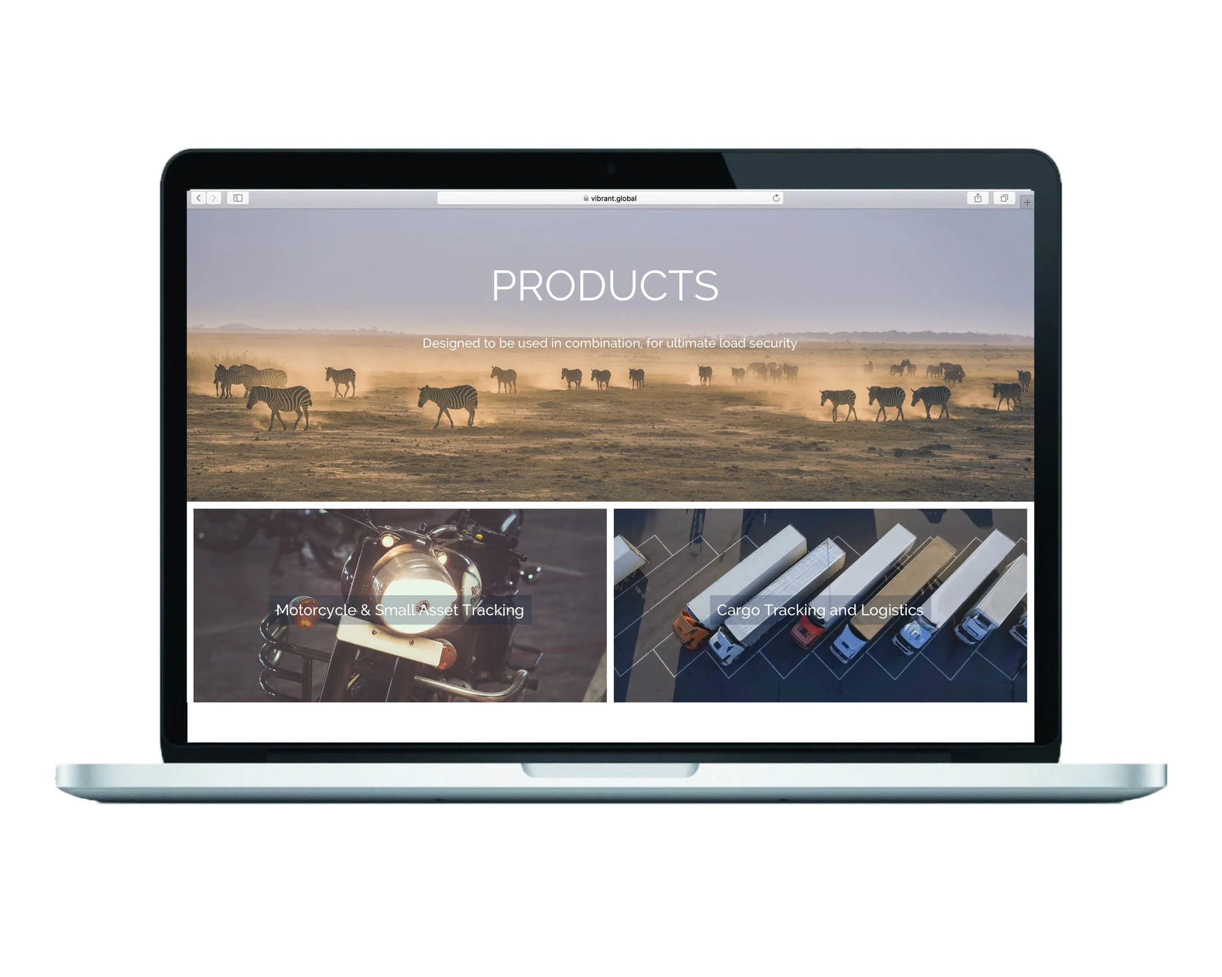 vibrant sbmarketing web 4.jpg