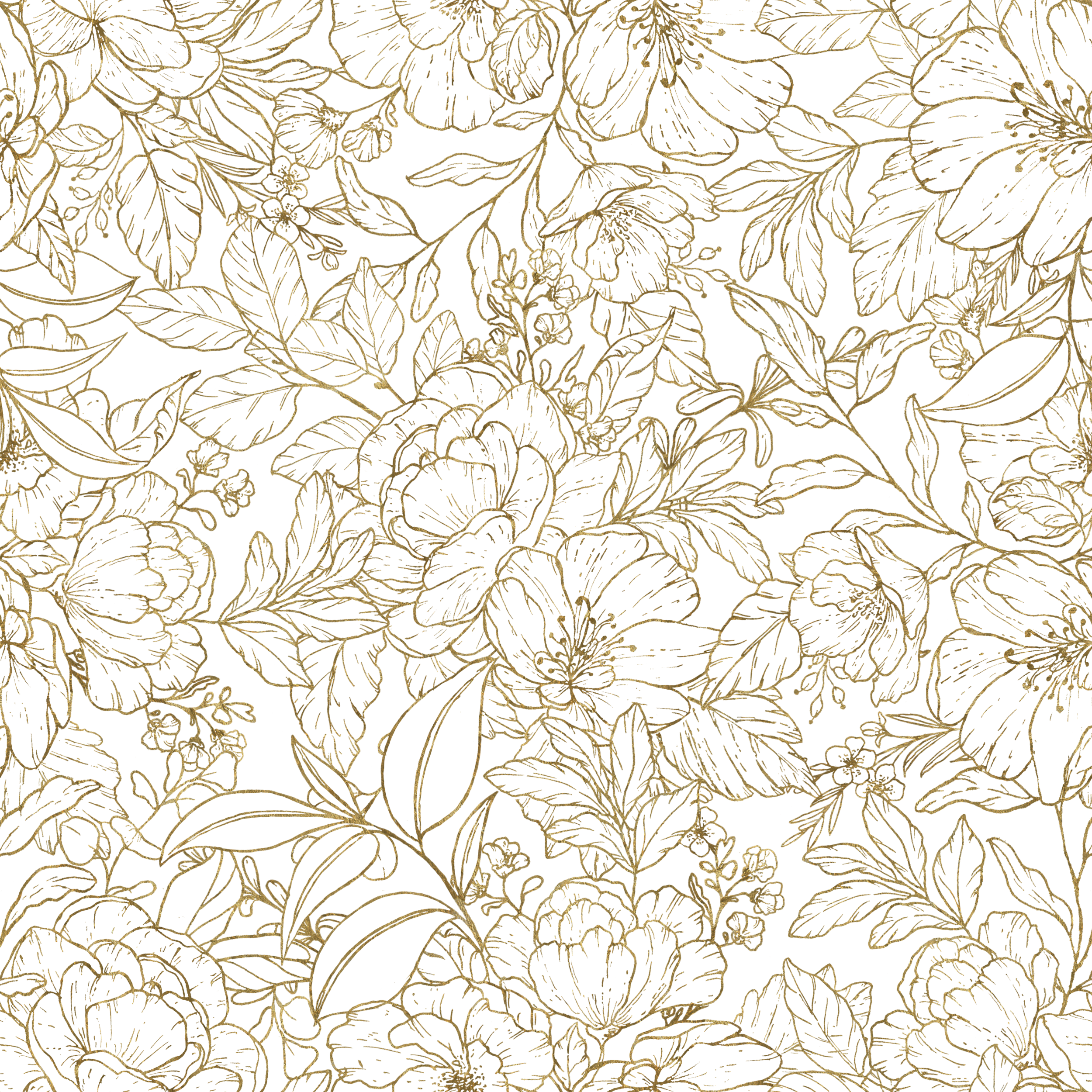 pattern.png