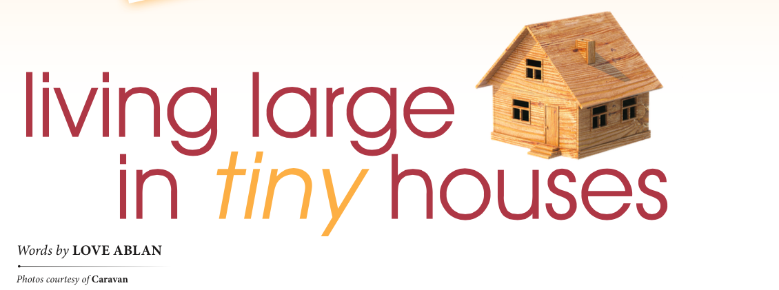 Living Large in Tiny Houses by Love Ablan