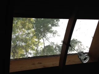 Living in the Lucky Penny