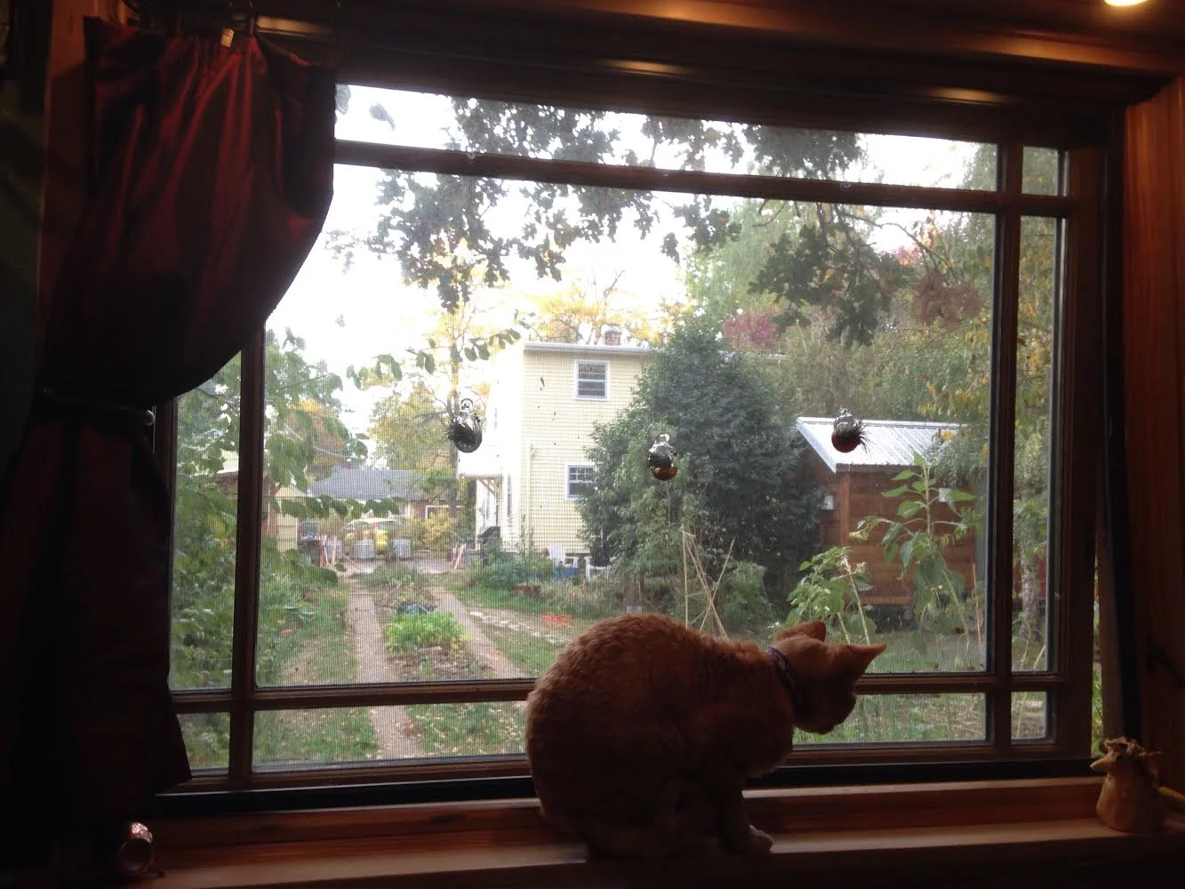 Home Is (Still) Where Your House Is