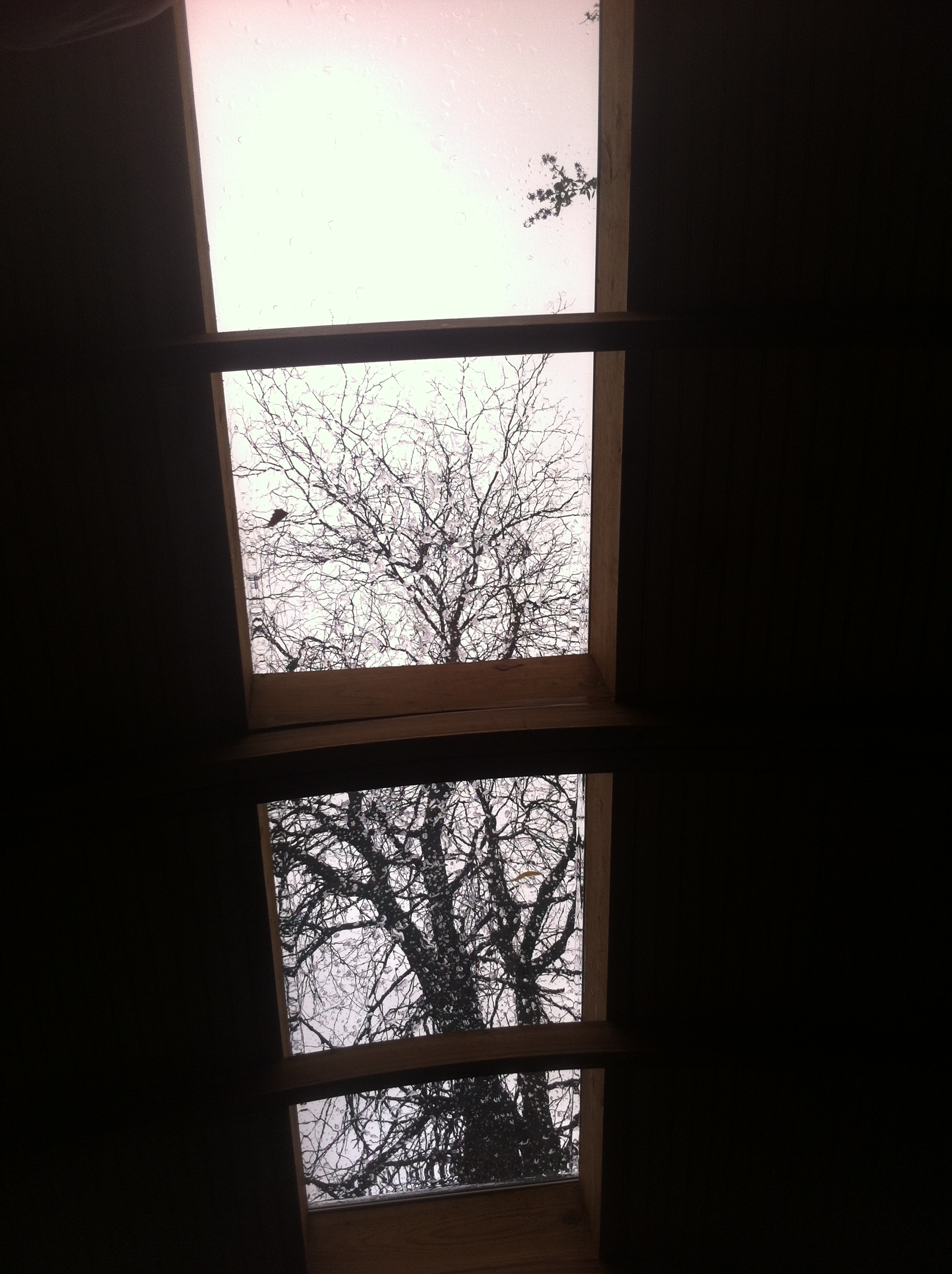 Lucky-Penny-Skylight.jpg