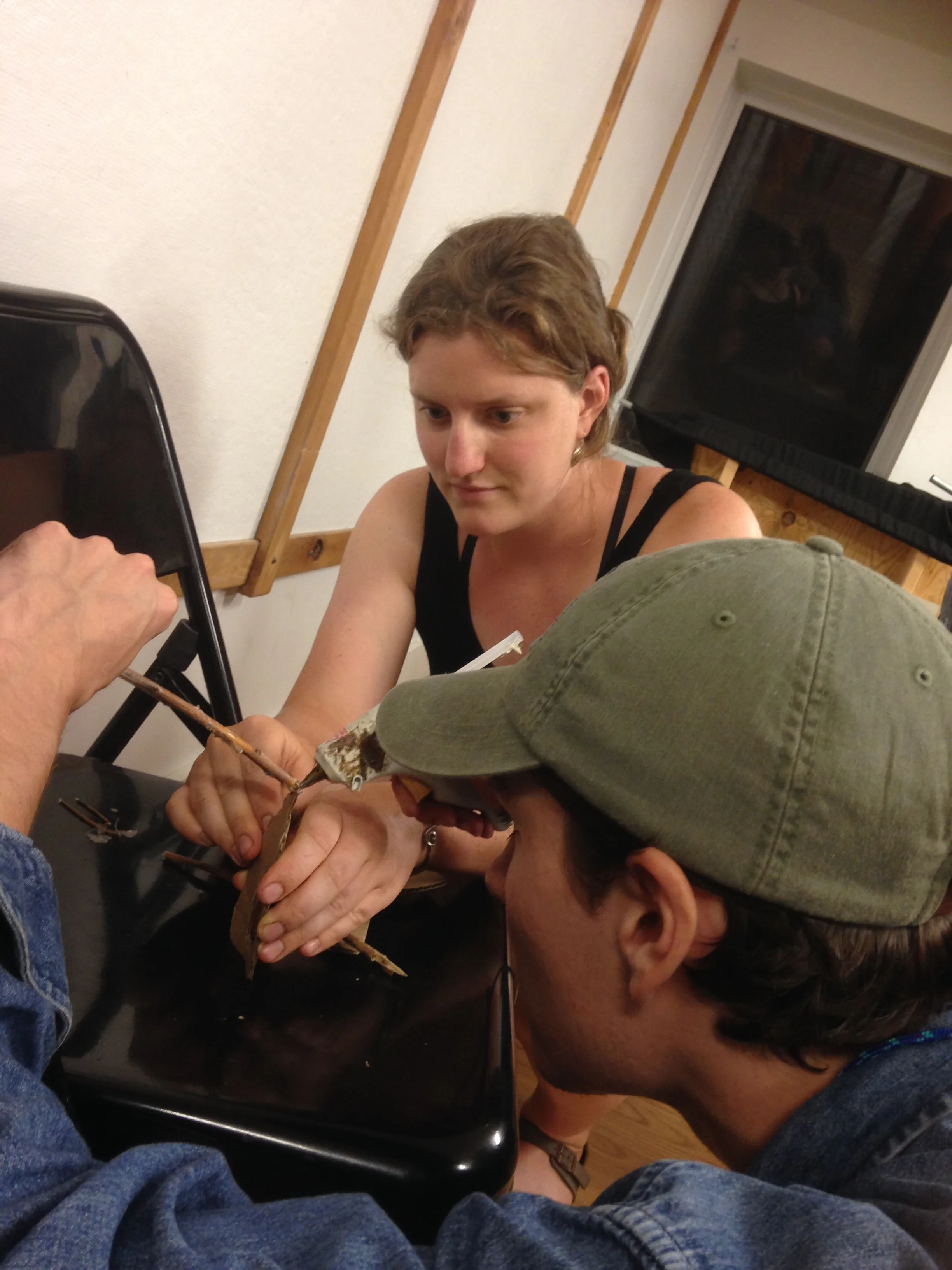 Kicking Off Tiny House Design-Build 2016