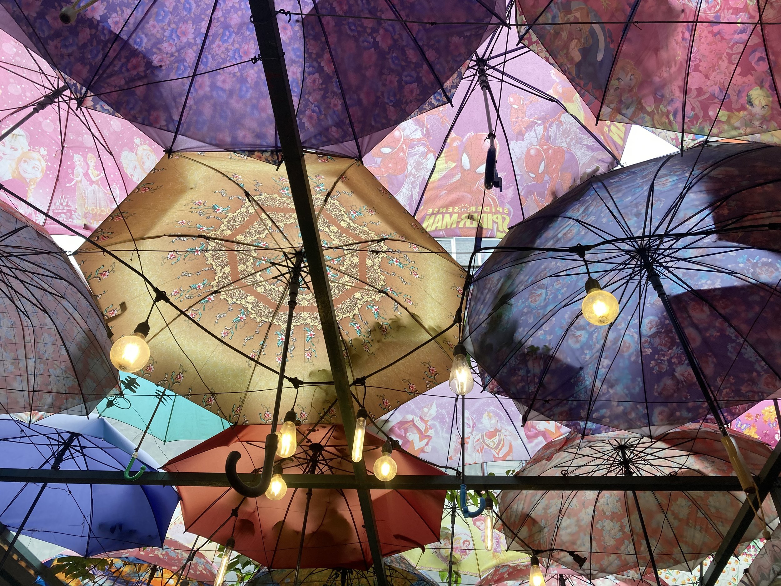 2024 Review &amp; 2025 Preview