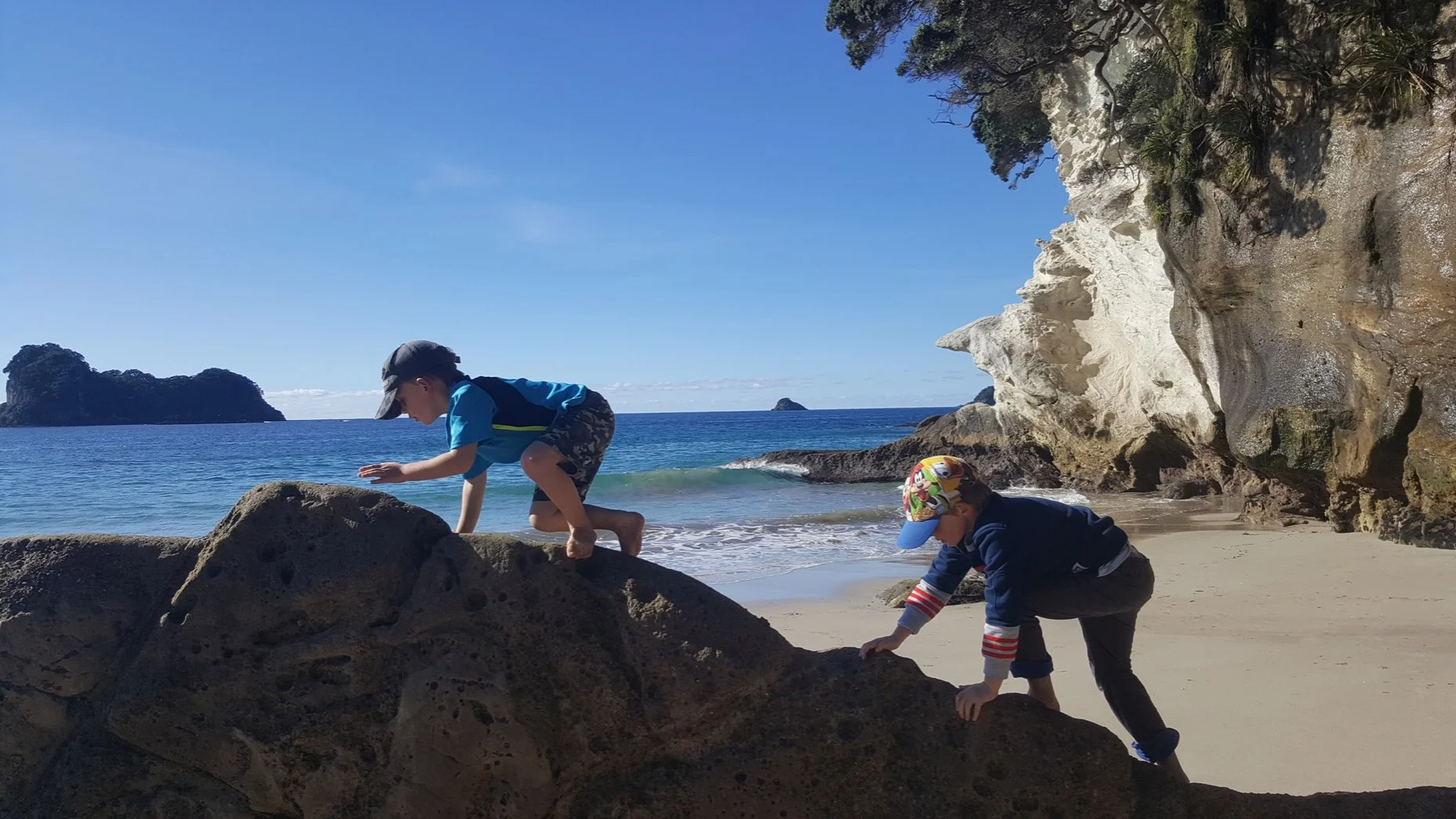 20160603_125019using this oneR1.JPEG