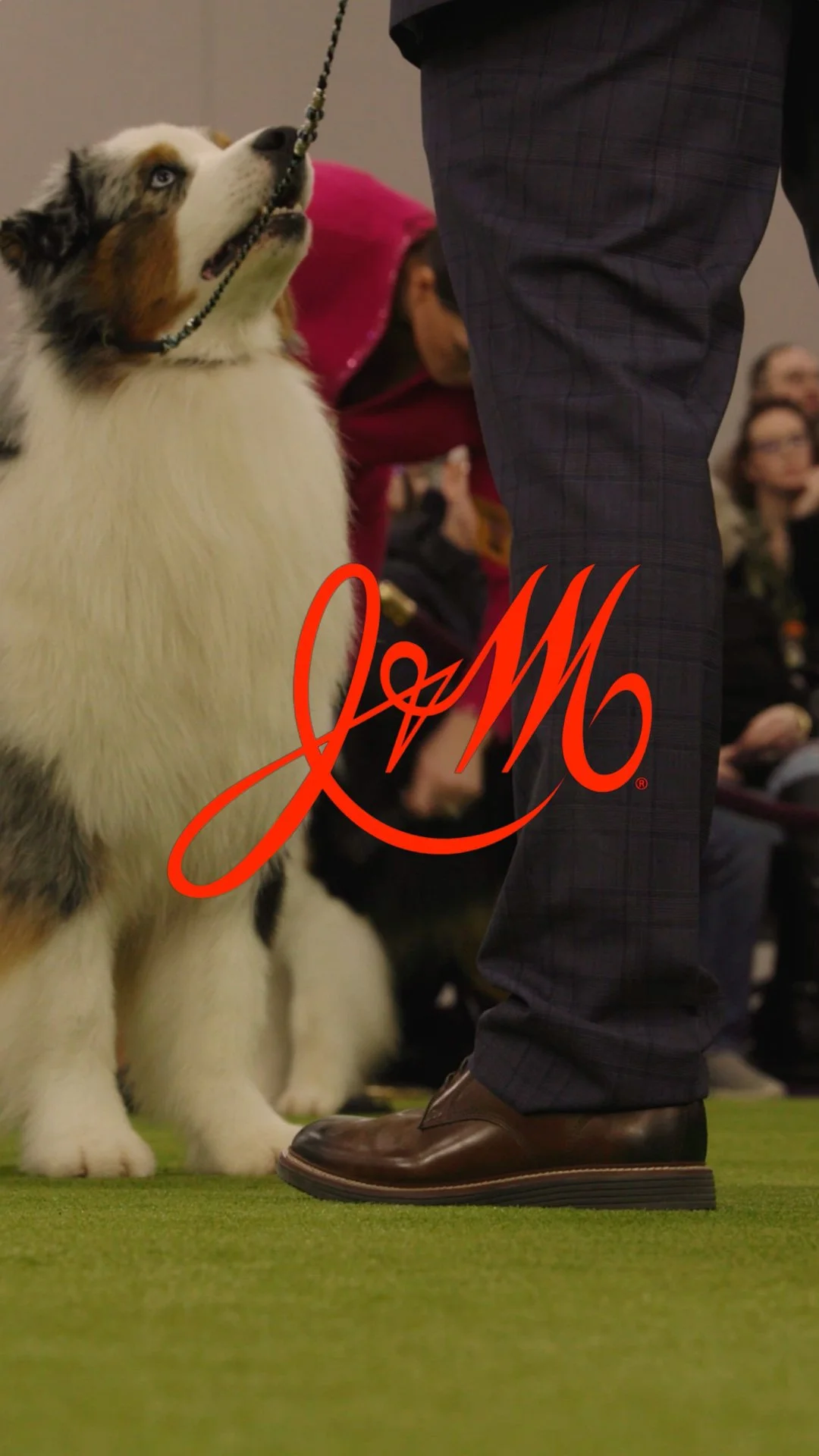 Johnston & Murphy / Westminster 2026 / Recap