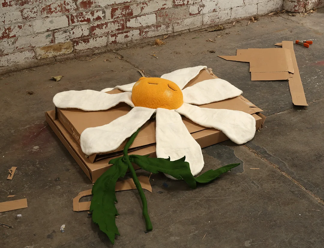 daisy_promo.jpg