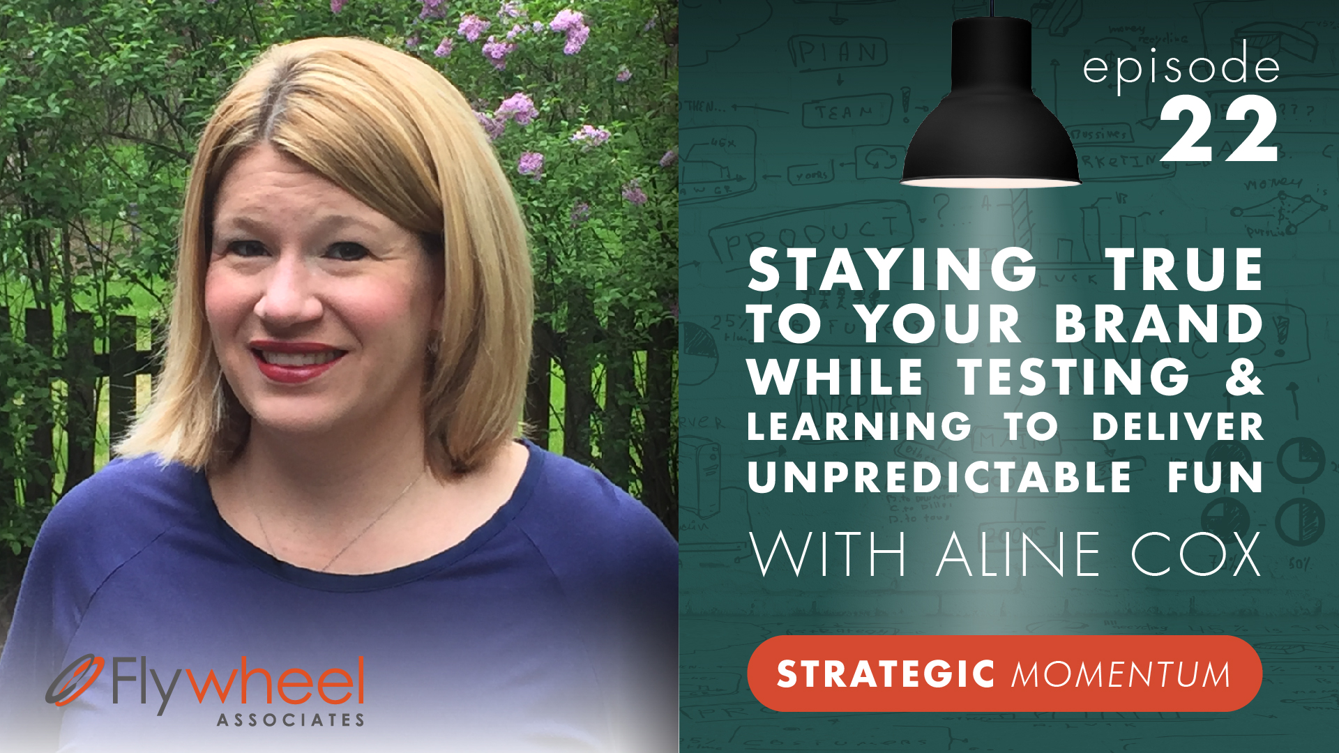 ConnieSteele_AlineCox_StrategicMomentum_Ep22_ART_Wide1.jpg
