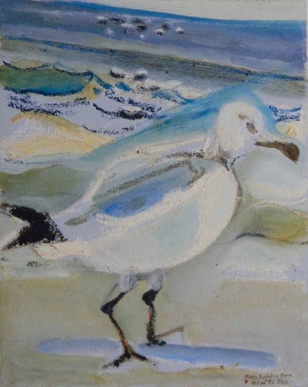 Seagull nfs