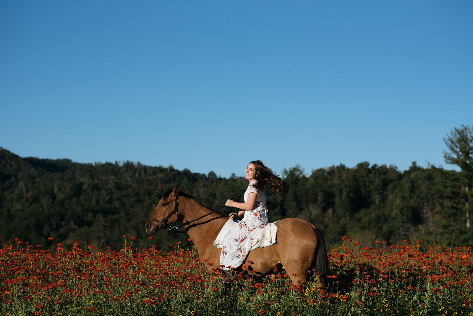 girl riding horse in flowers