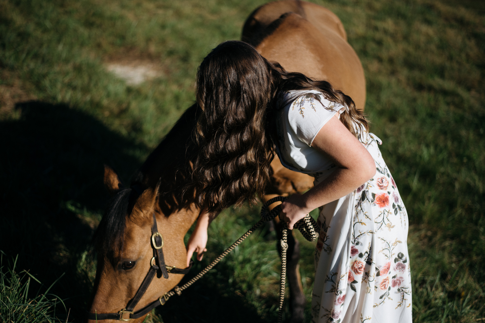 girl petting horse