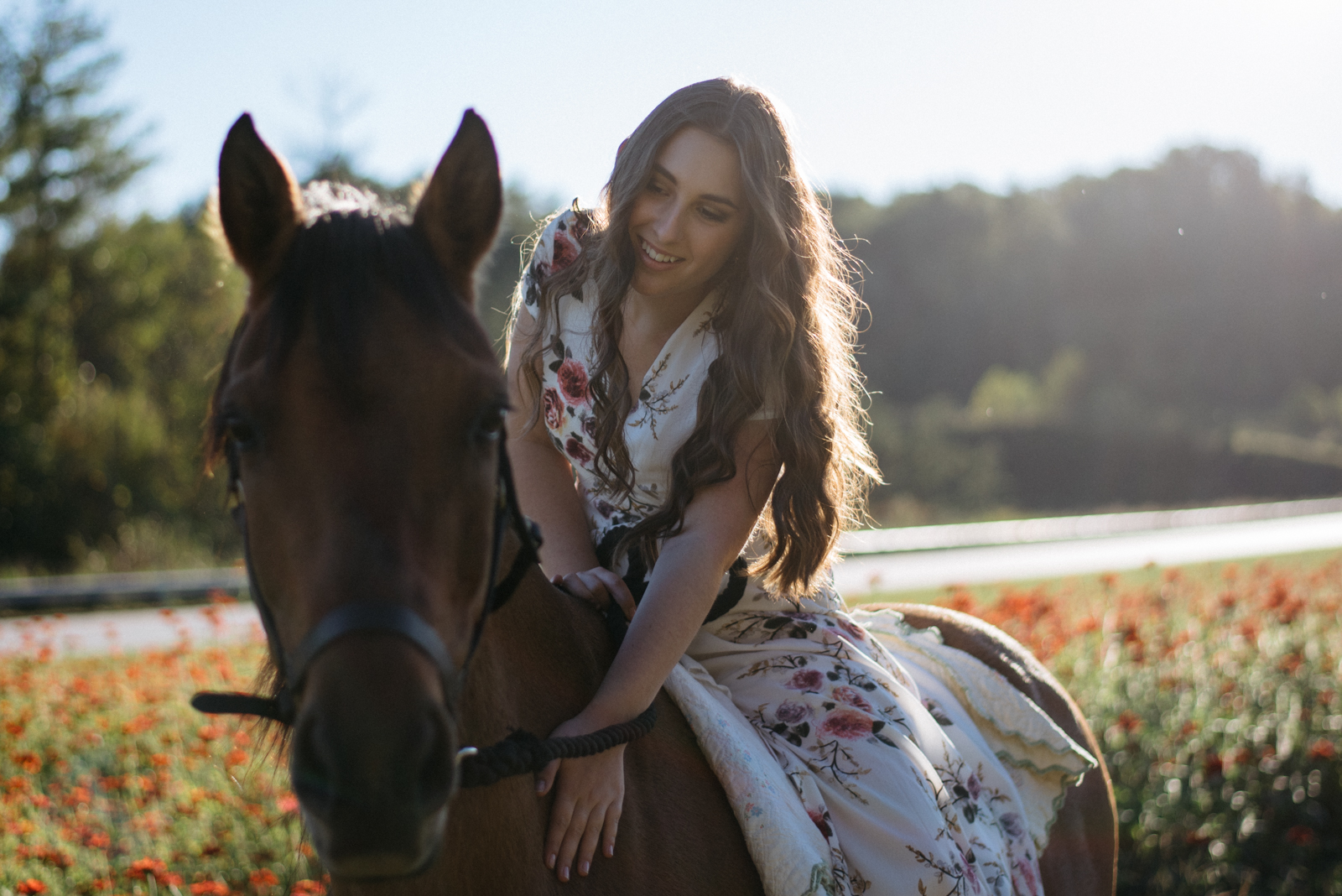 girl petting horse