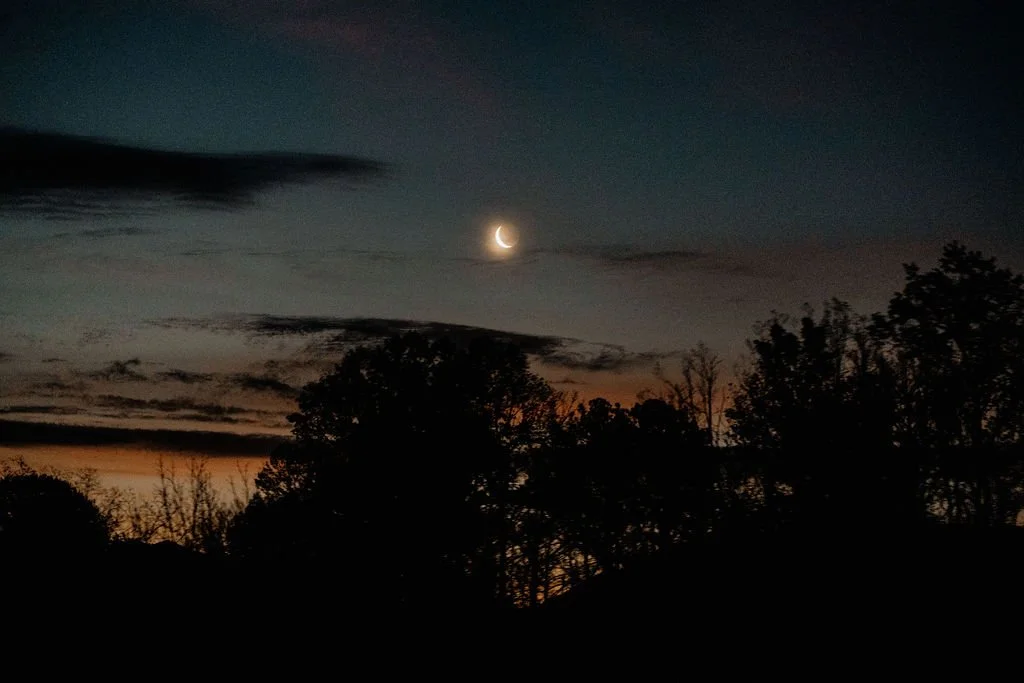 Crescent moon rising over the Appalachian mountain tree line at pre-dawn during the drive to Wayah Bald, Nantahala National Forest, North Carolina