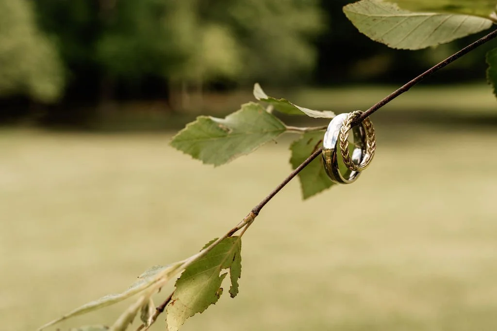 Wedding bands balanced on a tree branch with a lush green meadow in the   background, ring detail photo by Blue Ridge Georgia wedding photographer