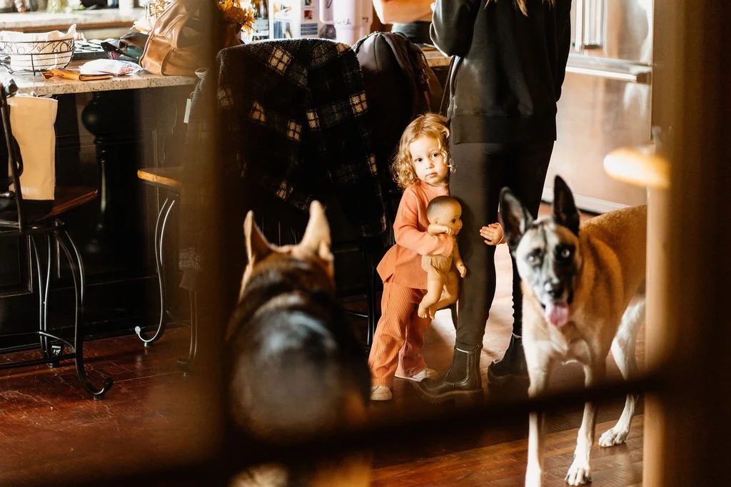 Flower girl and dogs at an intimate Blue Ridge Georgia cabin wedding in the Appalachian mountains, candid wedding moment by Appalachian Wedding Photography