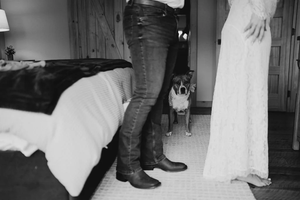 Black and white photo of Erin and William's dog standing between their feet inside the cabin during their Blue Ridge Georgia elopement, looking directly at the camera