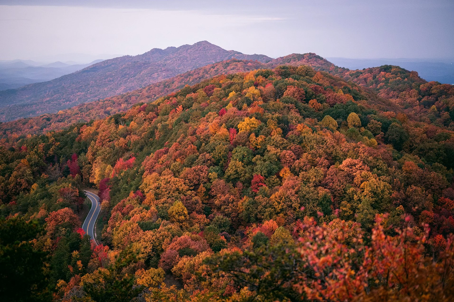 Aerial view of fall foliage in the Appalachian Mountains captured during an elopement session
