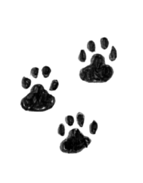 Three black paw prints on a black background.