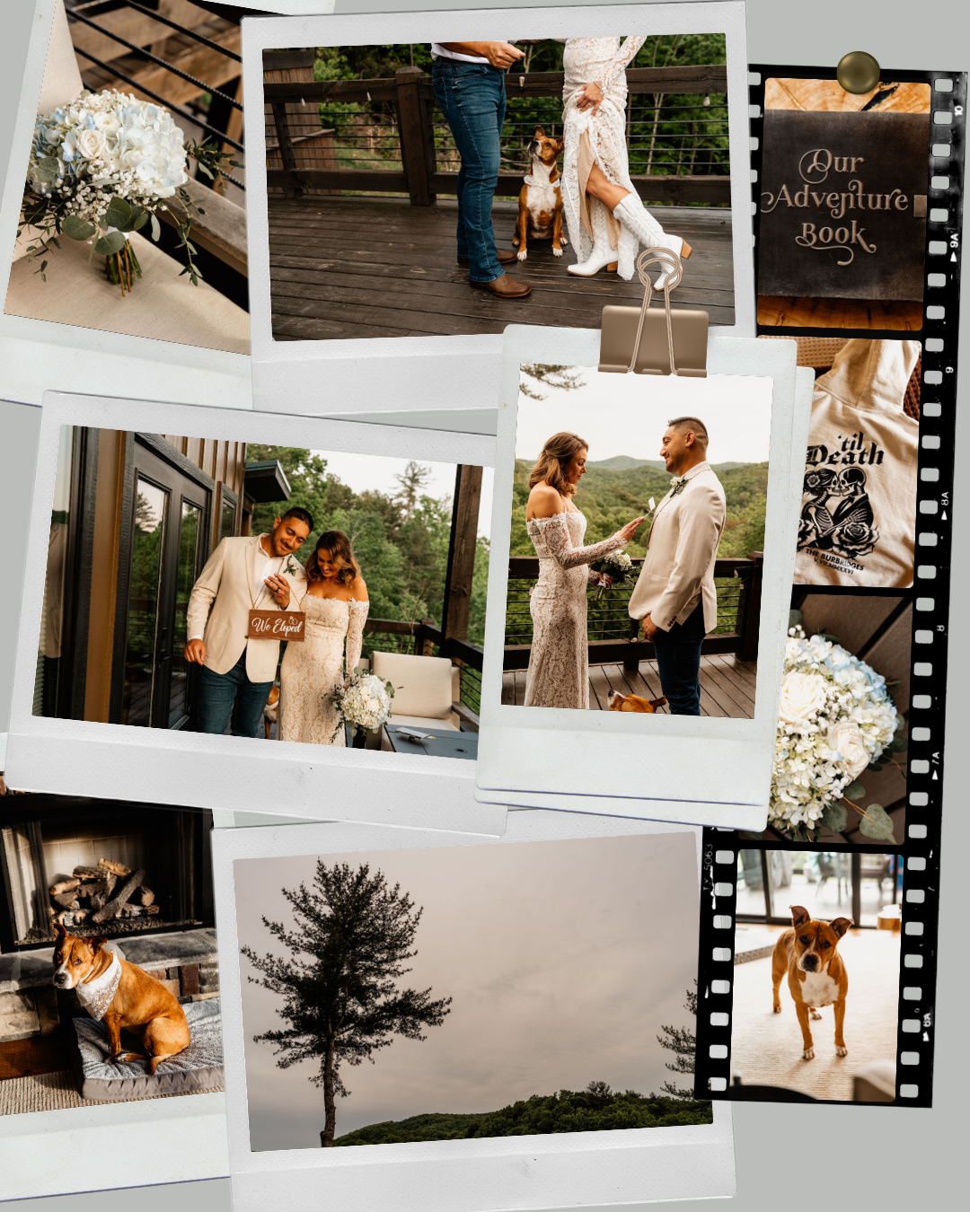 Blog cover graphic: Best Time of Year to Get Married in Blue Ridge Georgia and the Nantahala Mountains of Western NC — season-by-season guide by Appalachian Wedding Photography