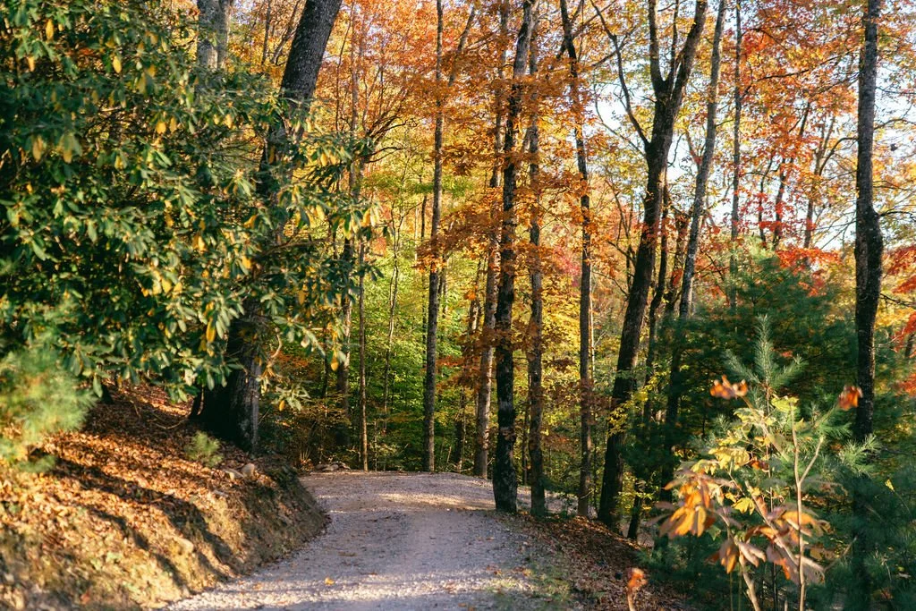 Mountain travel portrait at Nantahala Weddings and Events Blue Ridge wedding