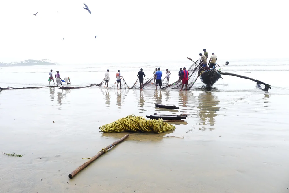Haul, Palolem Beach, India 2012