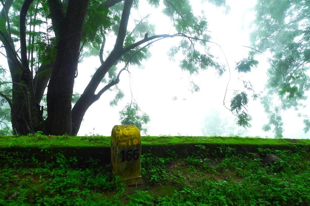 Road Marker, Munnar, India 2012