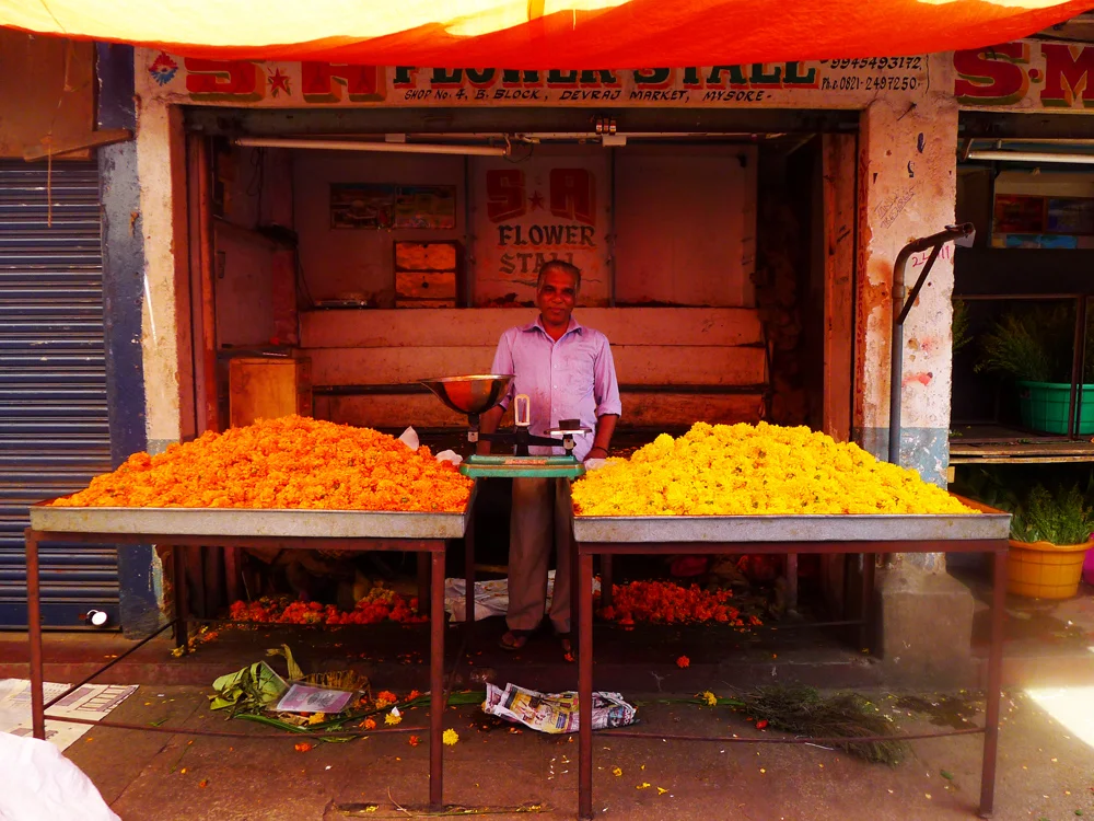 Marigold Guy, Mysore, India 2012