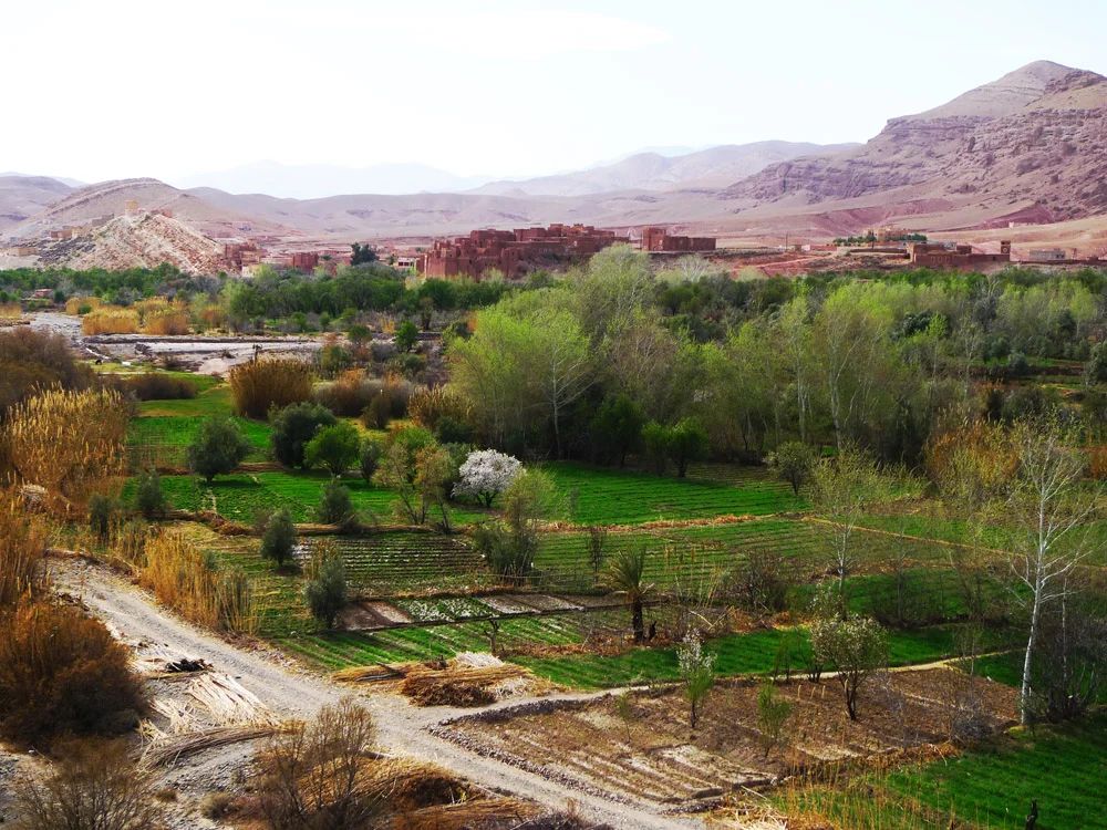 Valley Of the Flowers, Atlas Mountains, Morocco, 2011