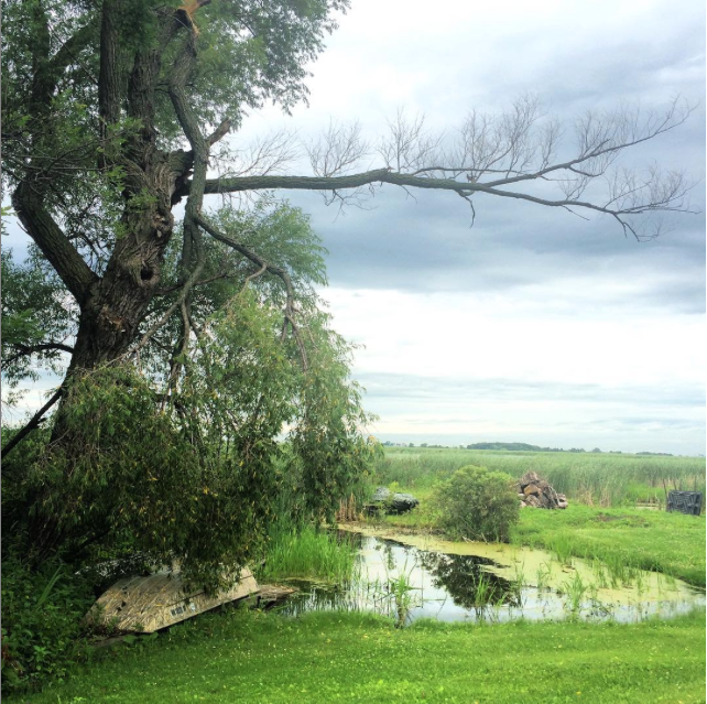 The Lake, Little Wall Lake, Iowa 2016