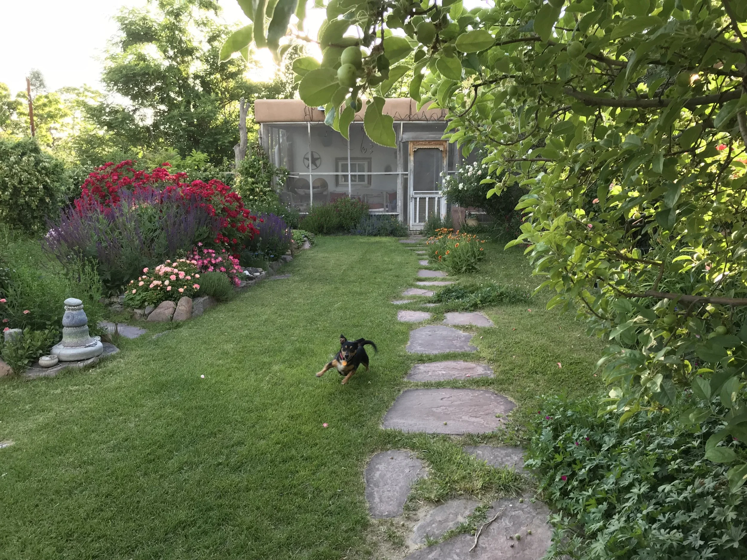 Above: Admiring the good work of Ed Templeton. Below: Pablo the wonder dog, offers endless insight to the wild things animals think about besides food.