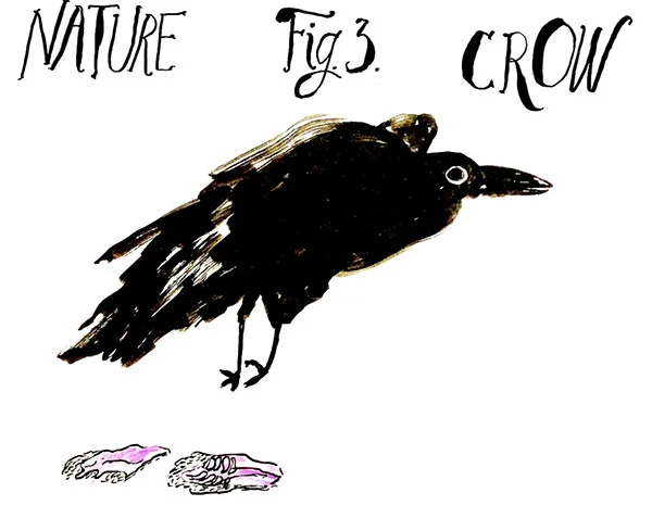 Crow_web.jpg