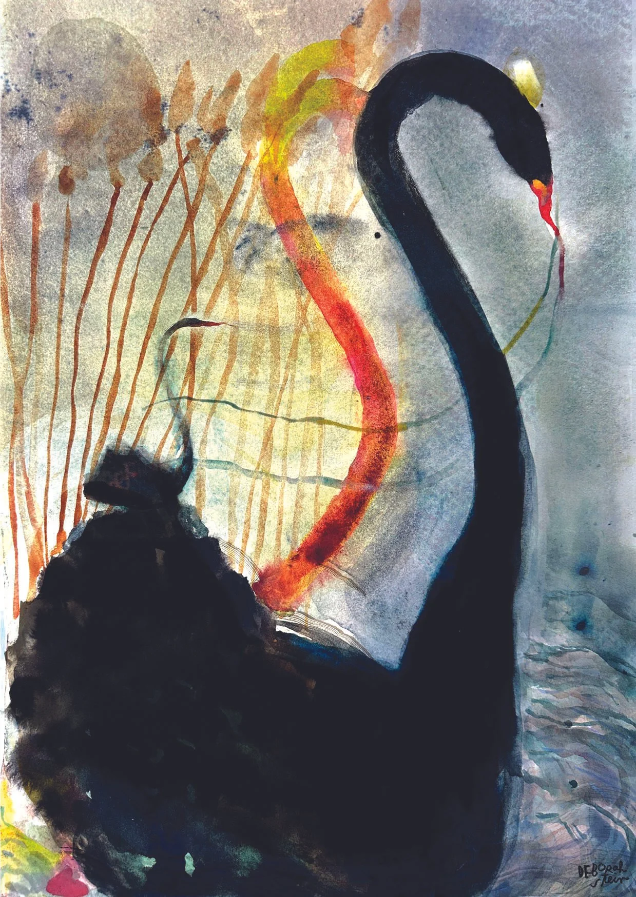 black-swan marsh-postcard.jpg