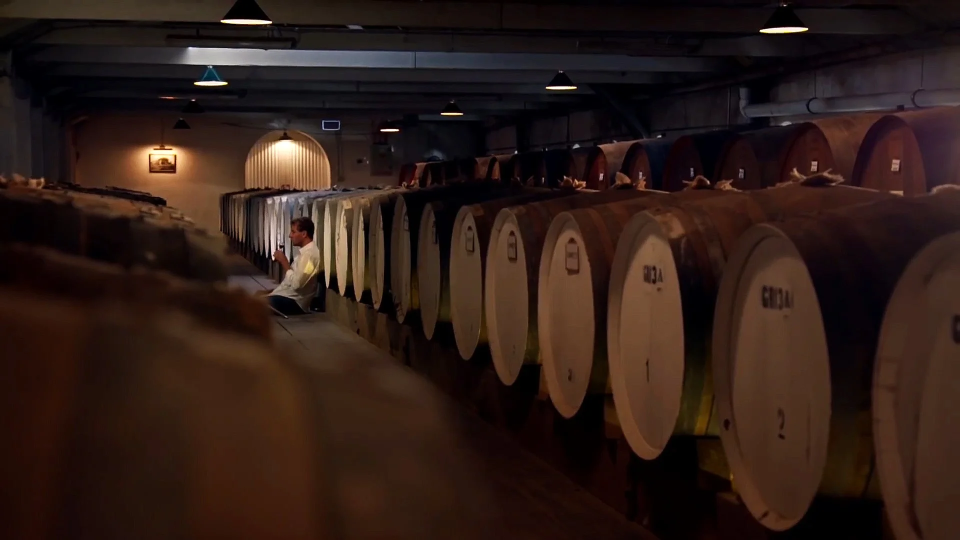 Plonk+cellar.jpg