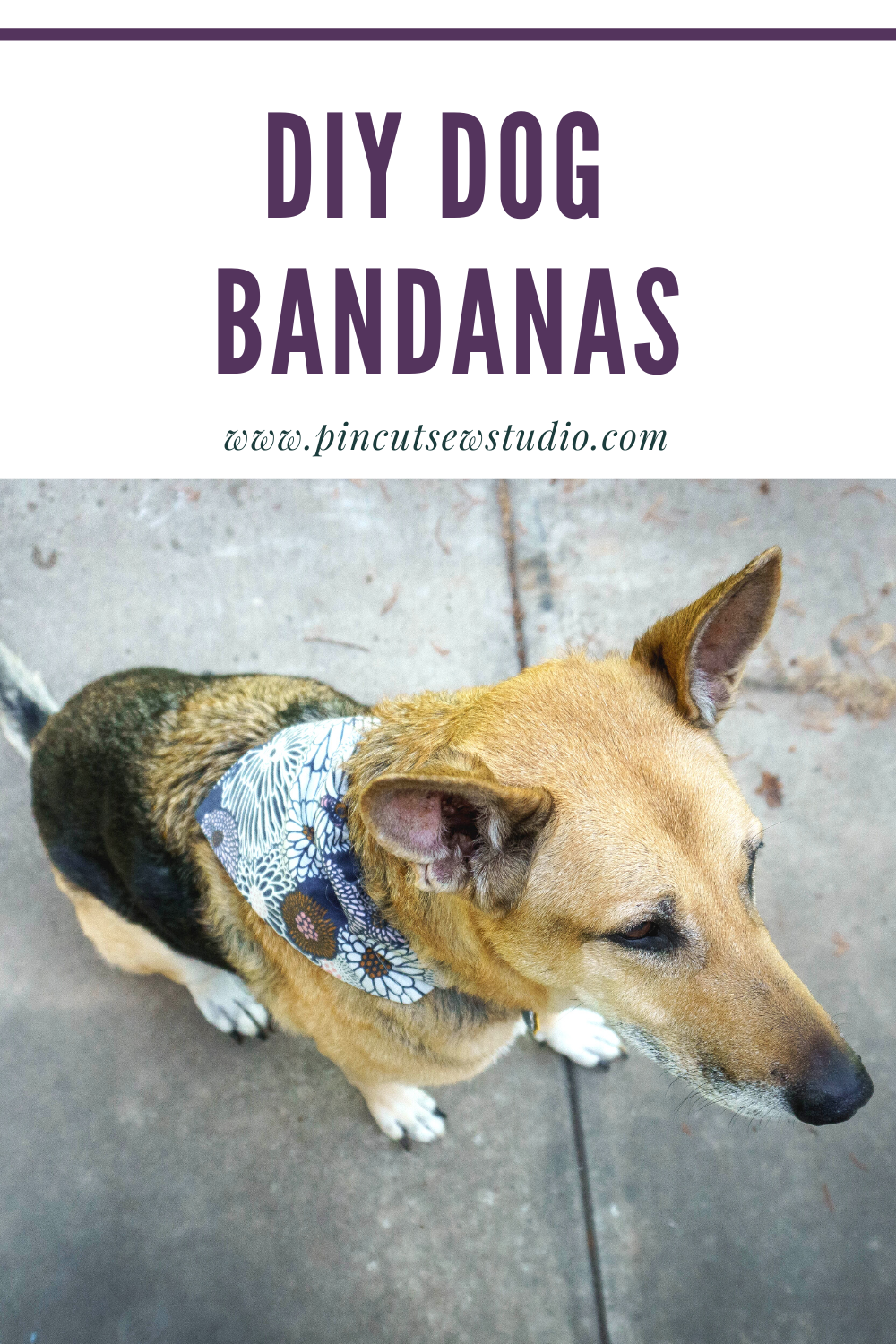 Diy Dog Scarves Dog Bandana Sewing Pattern PDF – DIY Pet