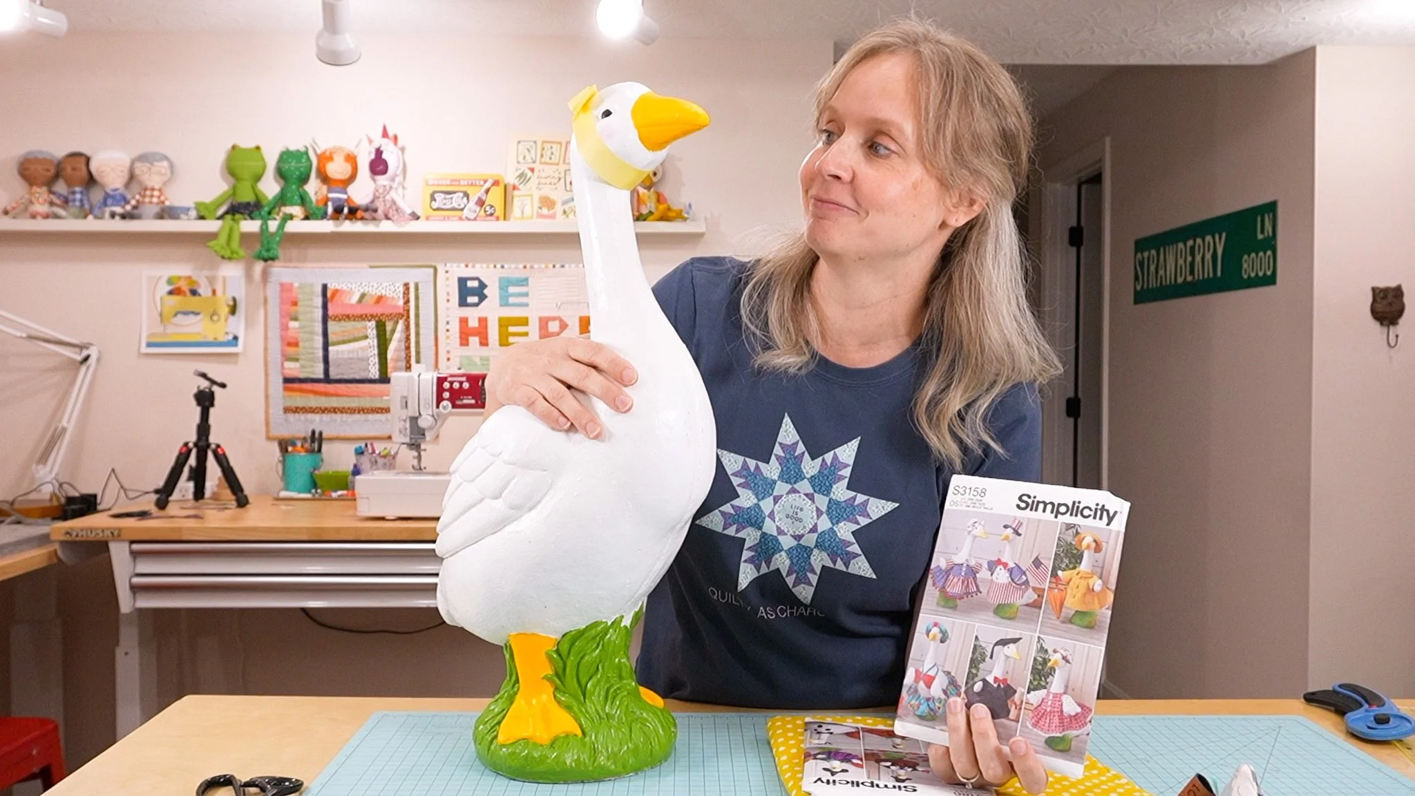 Volume 14: Meet my new muse (she's a porch goose)