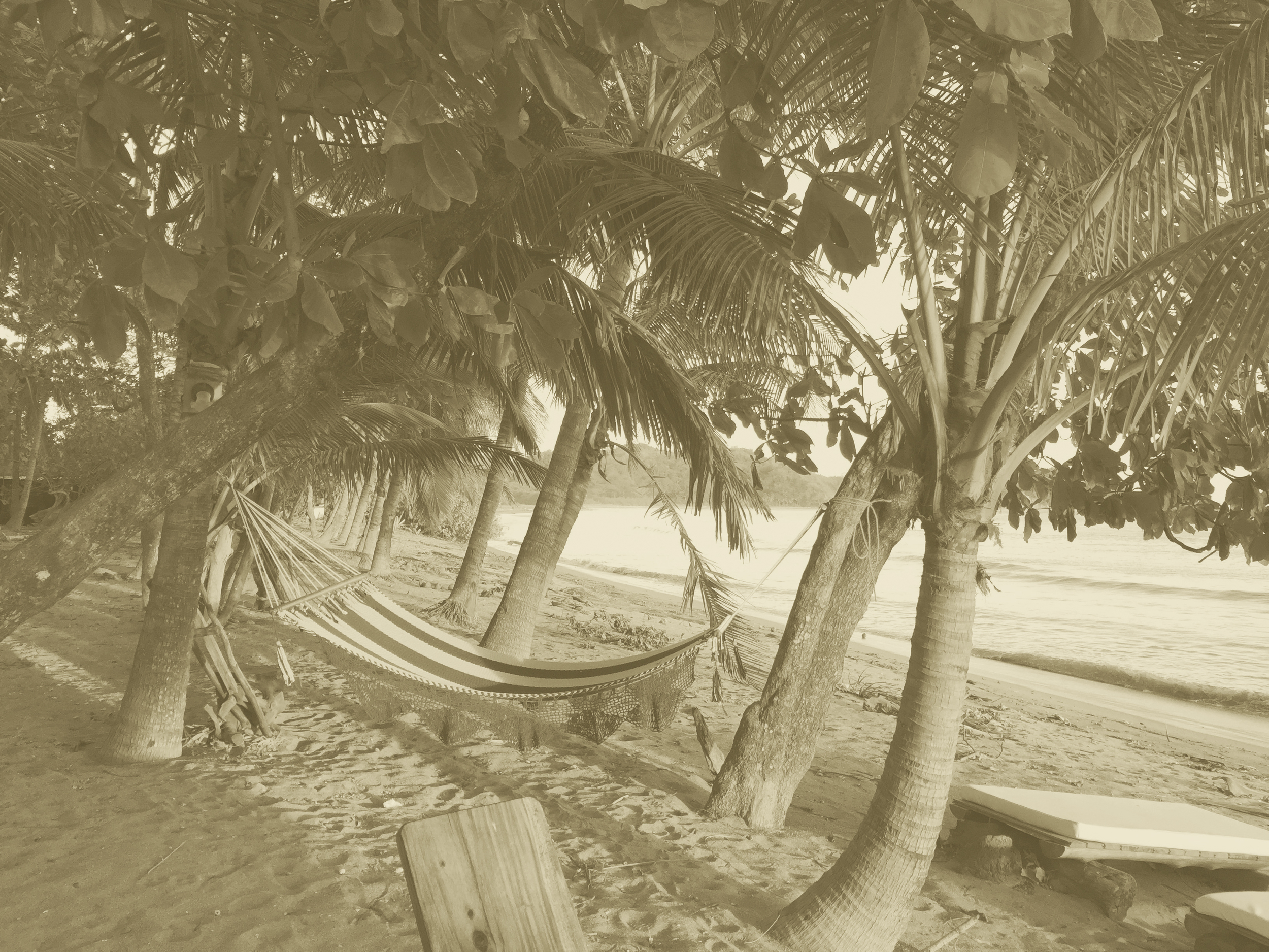 garza_hammock_toned_01.jpg