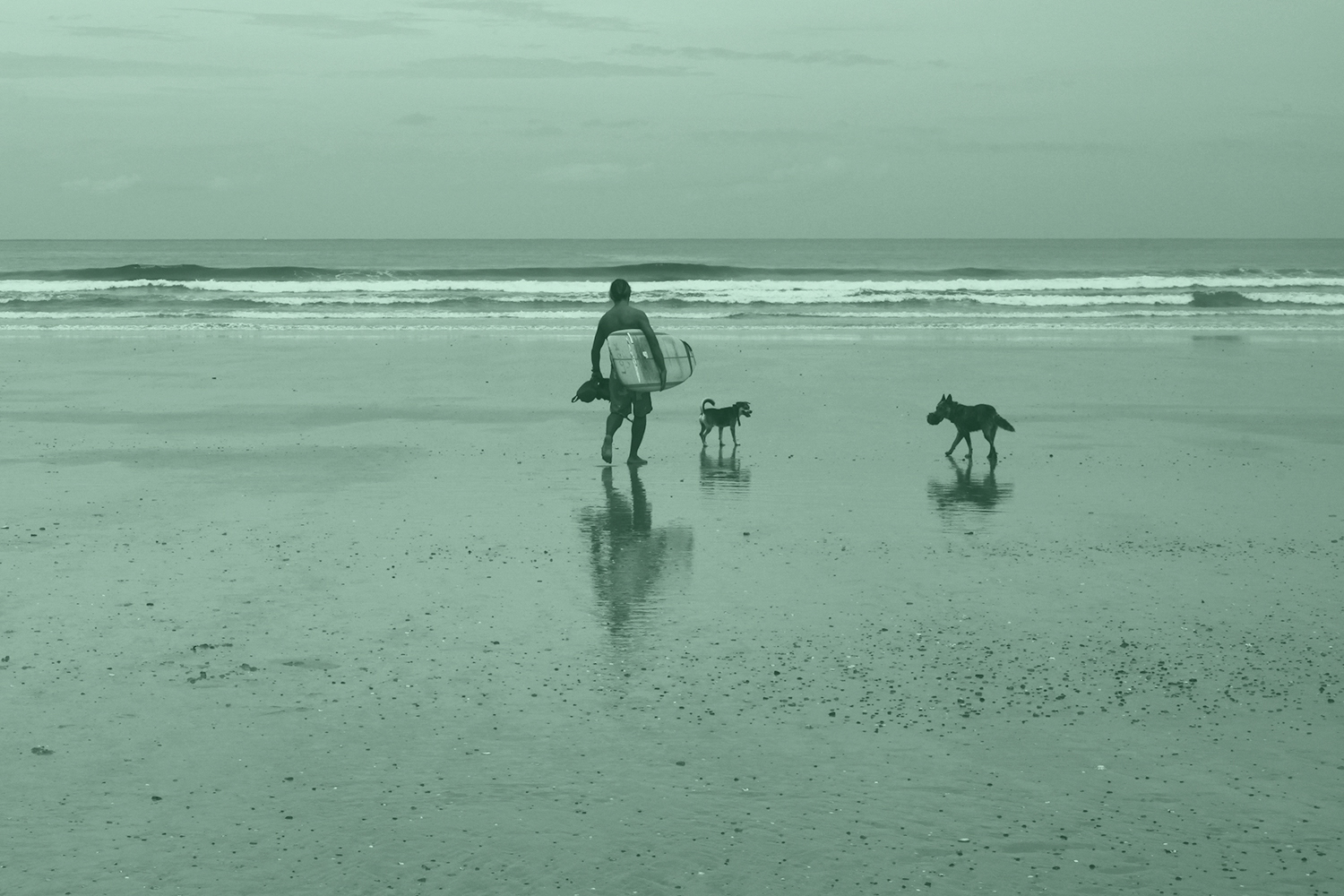 dude_and_dogs_duotone.jpg