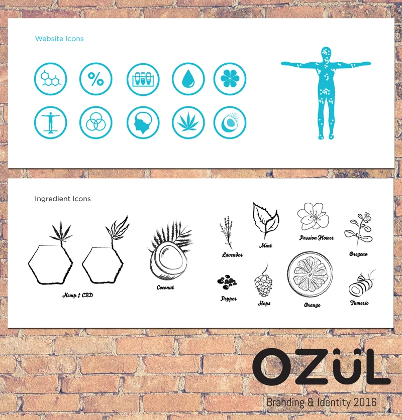 WEB_Ozul_Icons.jpg