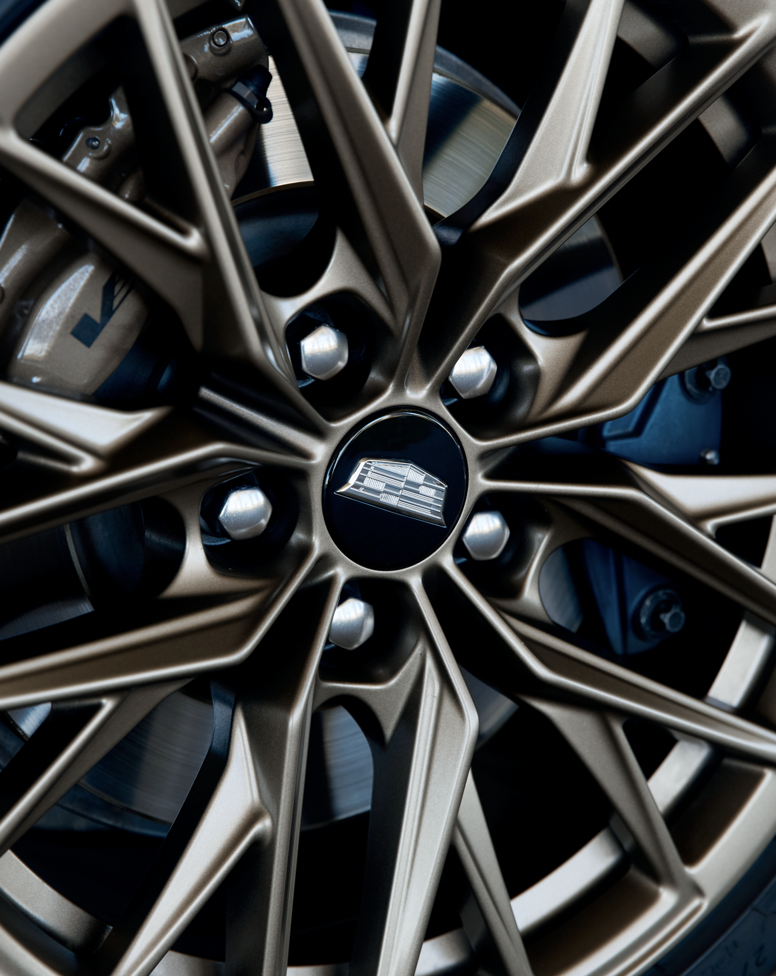 Screenshot 2026-03-02 at 6.37.15 PM.png