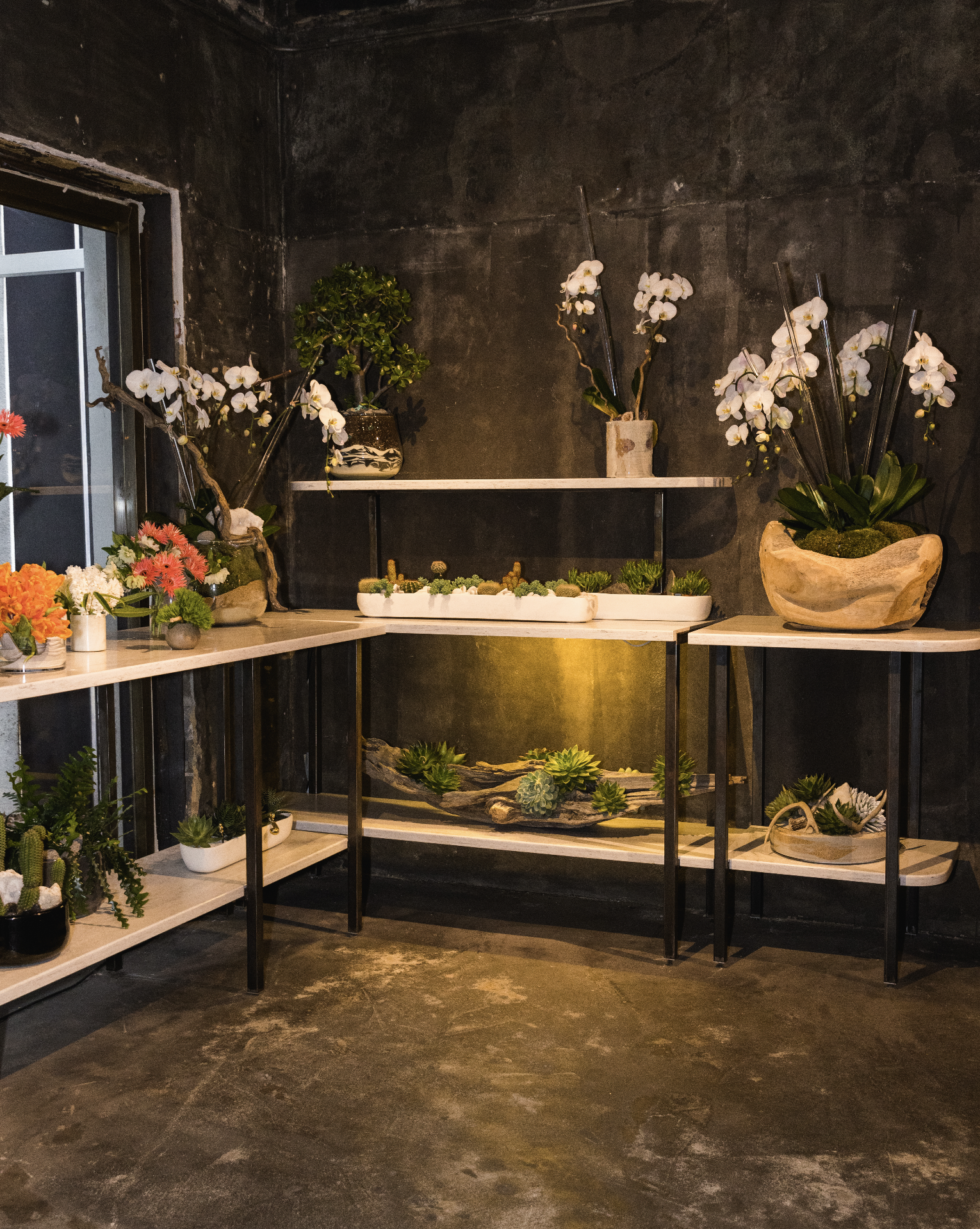 Screenshot 2026-03-02 at 6.43.41 PM.png